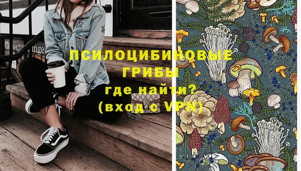 прущие грибы Верхний Тагил
