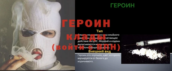 прущие грибы Верхний Тагил