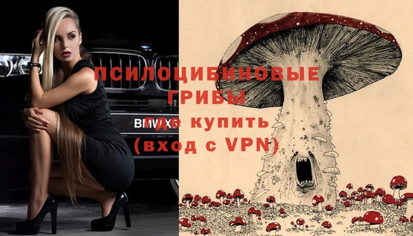 прущие грибы Верхний Тагил