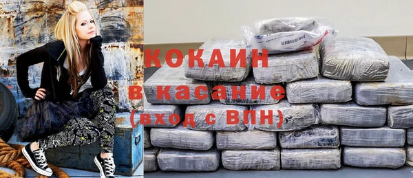 прущие грибы Верхний Тагил