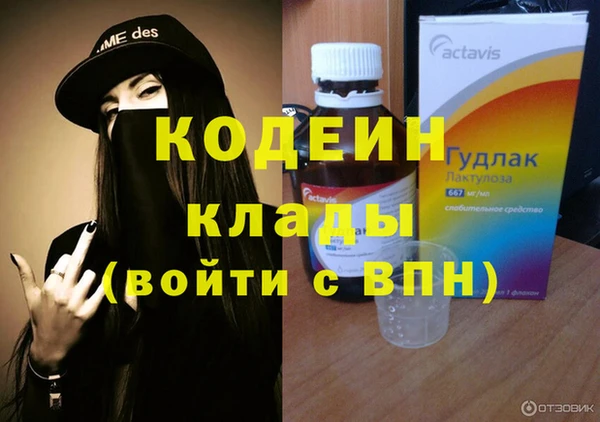прущие грибы Верхний Тагил