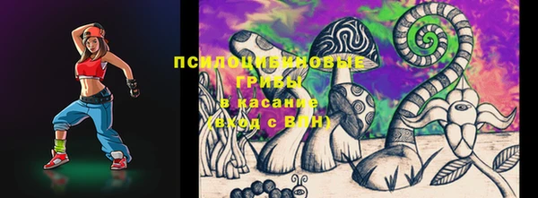 прущие грибы Верхний Тагил
