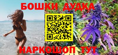apvp Лесосибирск