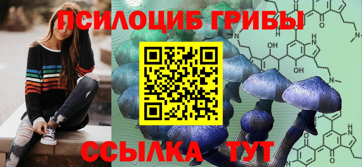 Псилоцибиновые грибы GOLDEN TEACHER Воткинск