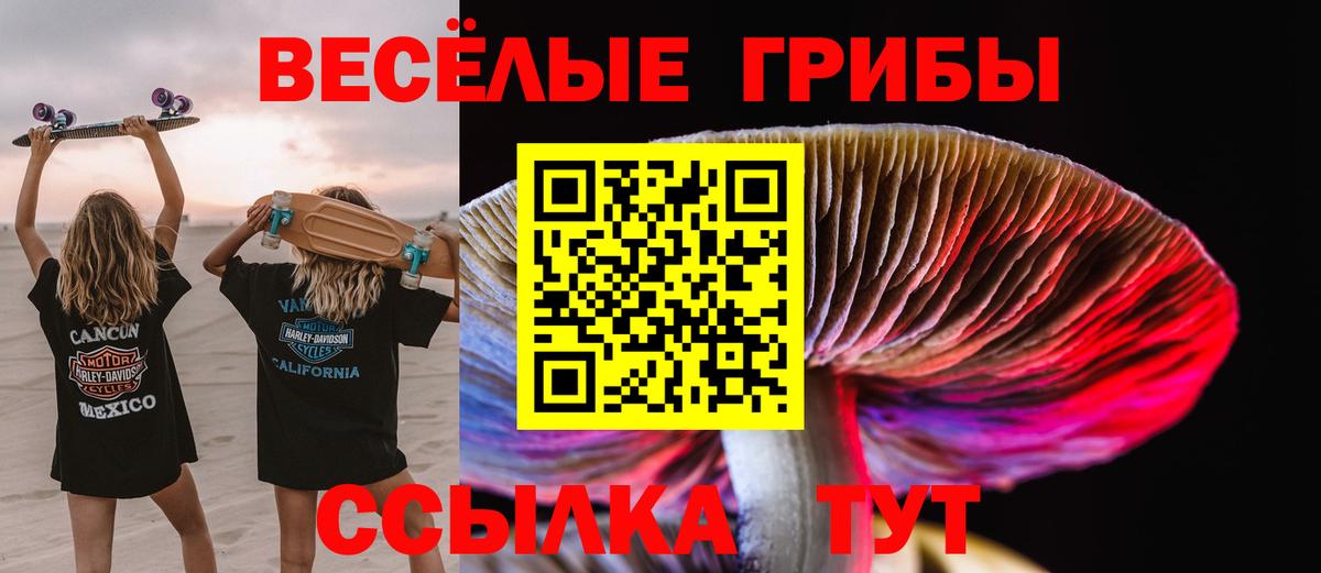 Галлюциногенные грибы Psilocybe  Вход с VPN  как найти наркотики  Воткинск 