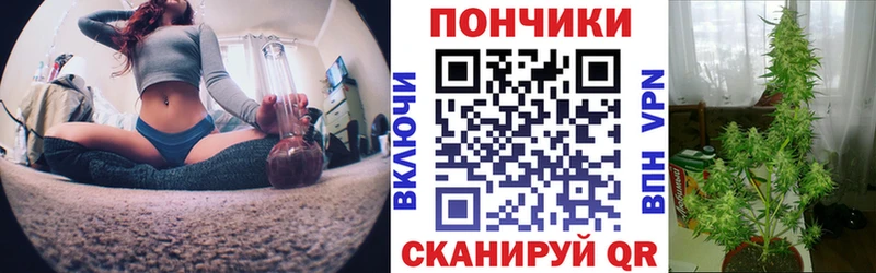 Конопля ГИДРОПОН  Воткинск 